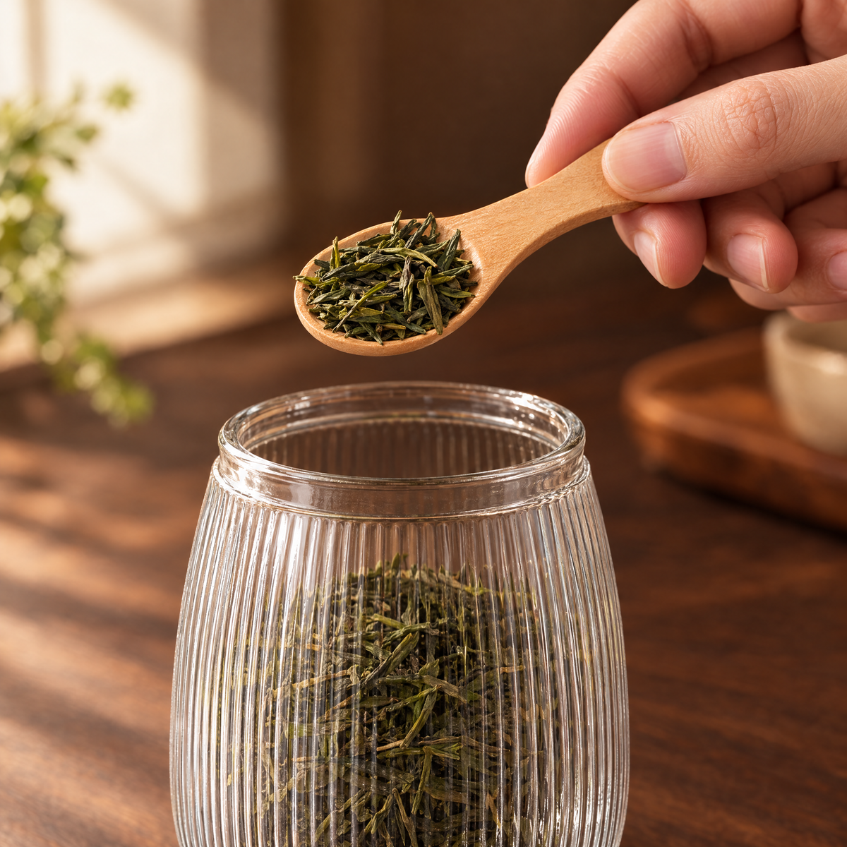 A hand holding the small wooden spoon with green tea above the caddy